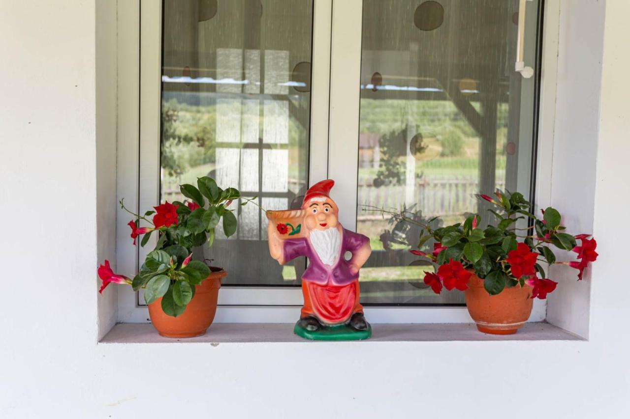 Casa De Vacanta Armi Molidu Kültér fotó