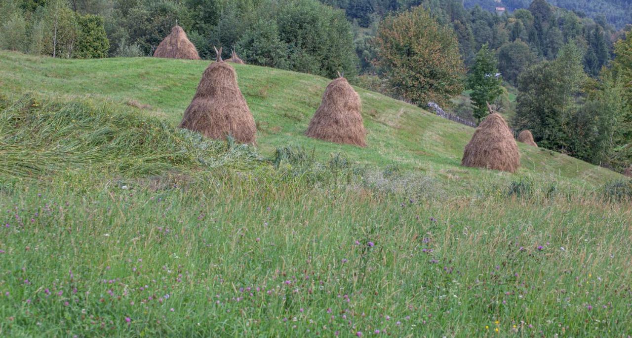 Casa De Vacanta Armi Molidu Kültér fotó